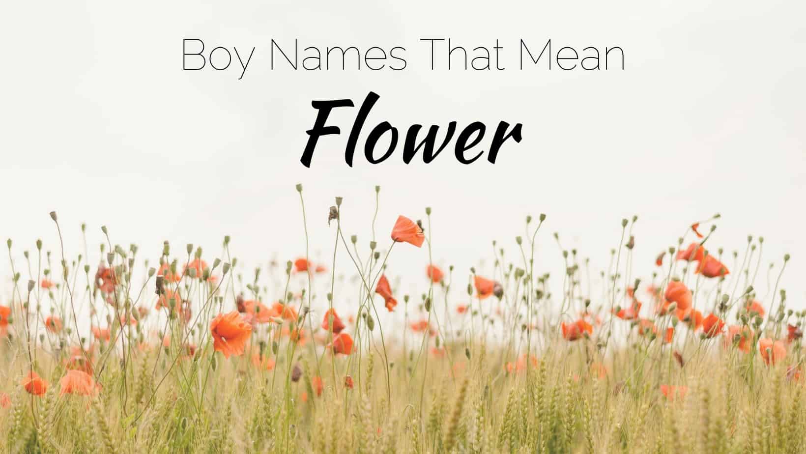 Boy Names That Mean Flower