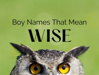 Boy Names That Mean Wise