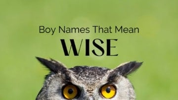 Boy Names That Mean Wise