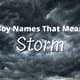 Boy Names That Mean Storm