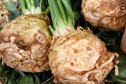 Celery_Root