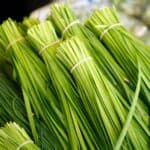 Chinese Chives