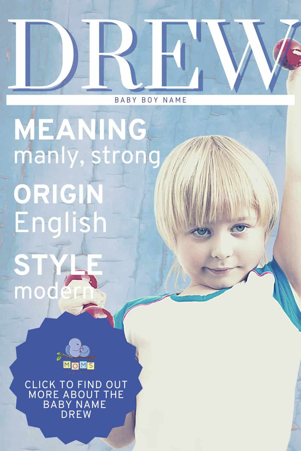 Baby name Drew
