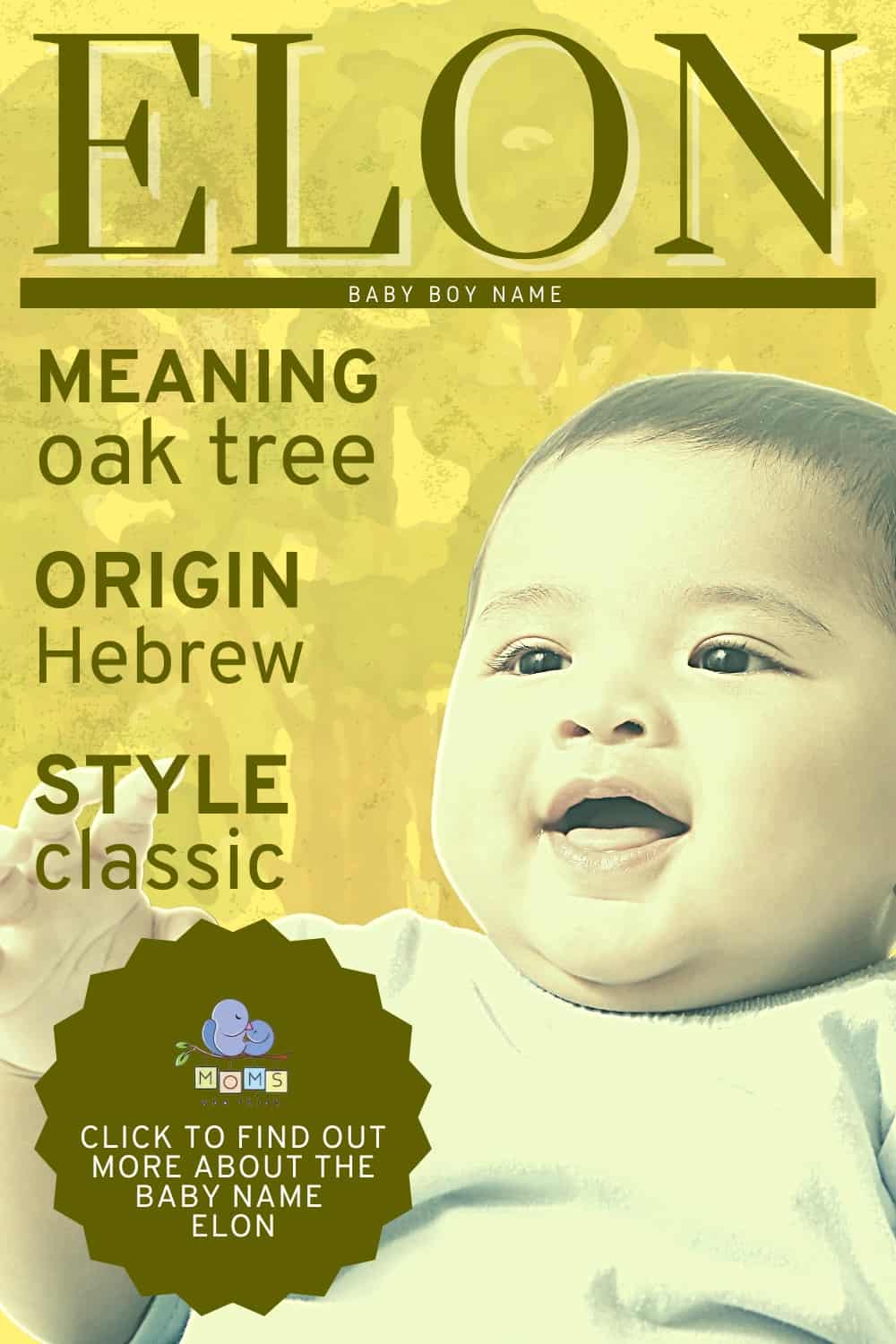 Baby name Elon