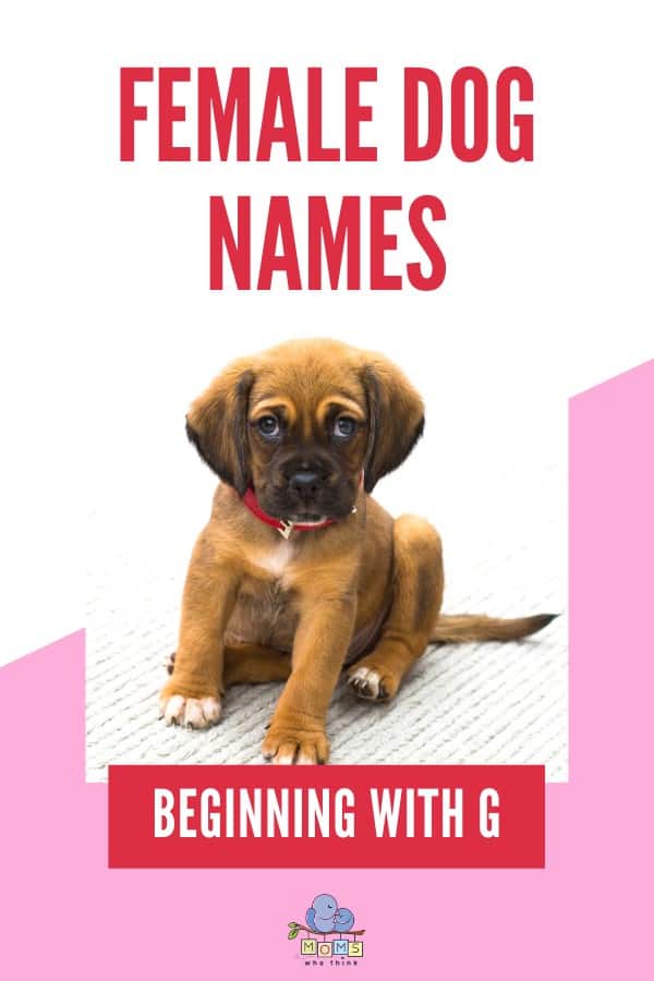 Female Dog Names G
