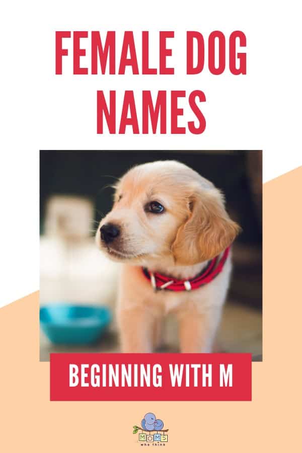 Female Dog Names M