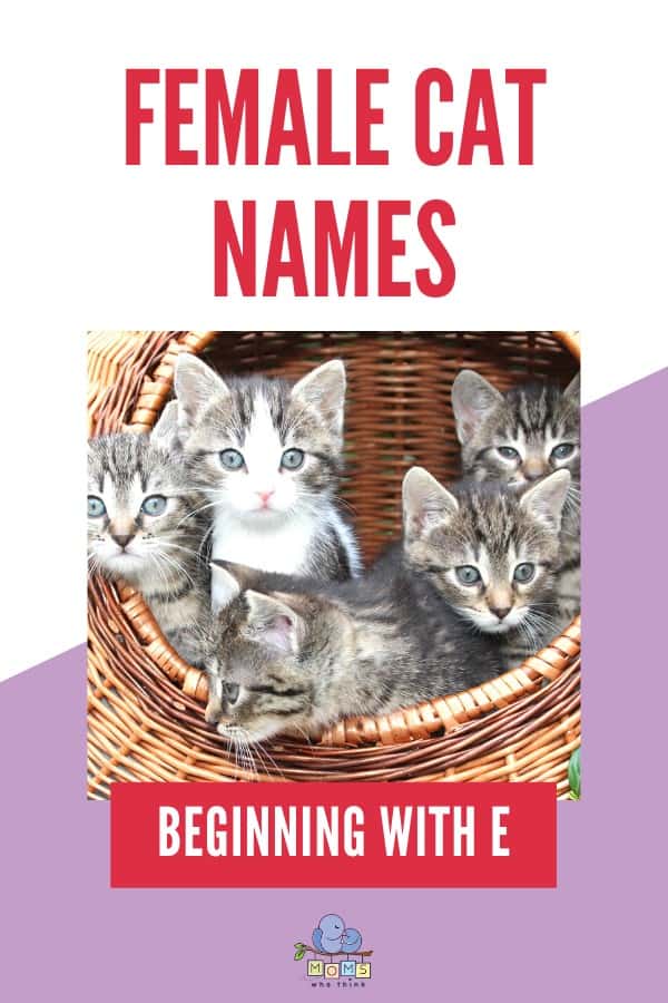 Female cat names beginning with E