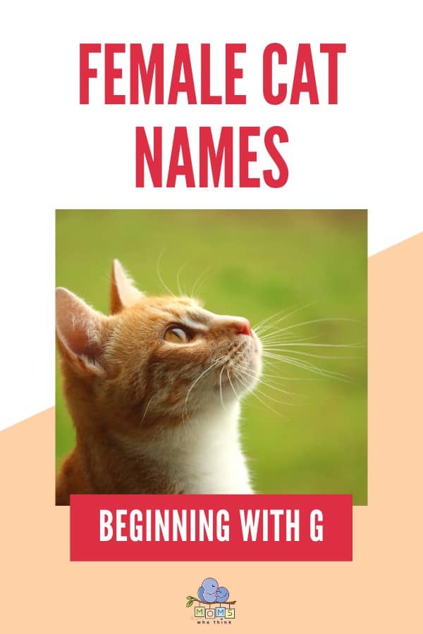 Female Cat Names Beginning with G