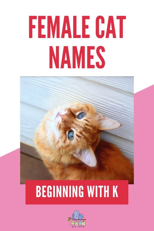 Female Cat Names Beginning with K