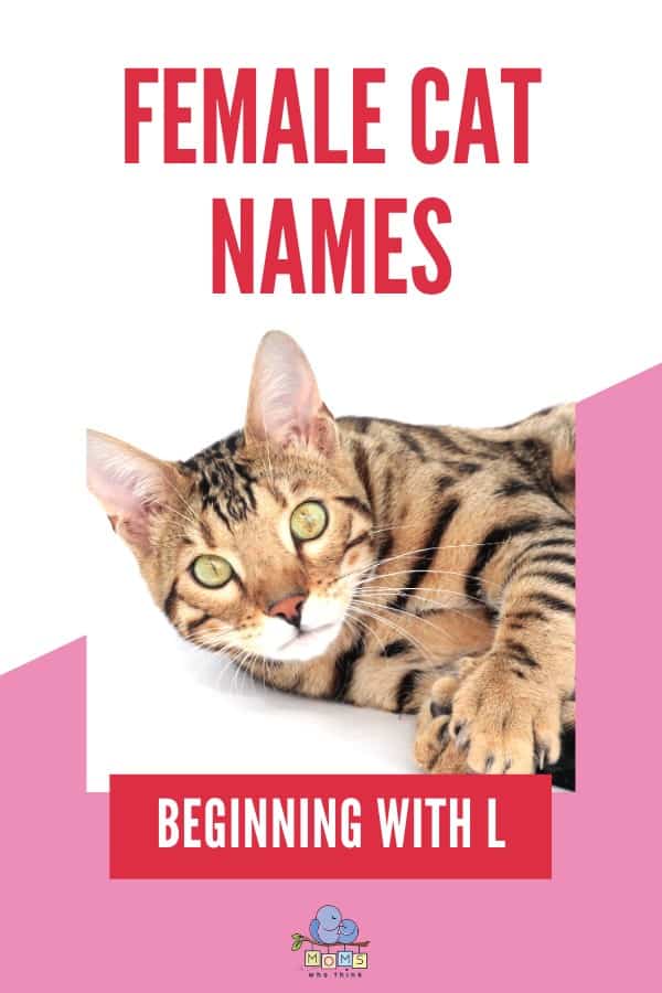 Female Cat Names Beginning with L