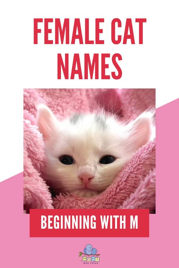 Female Cat Names Beginning with M