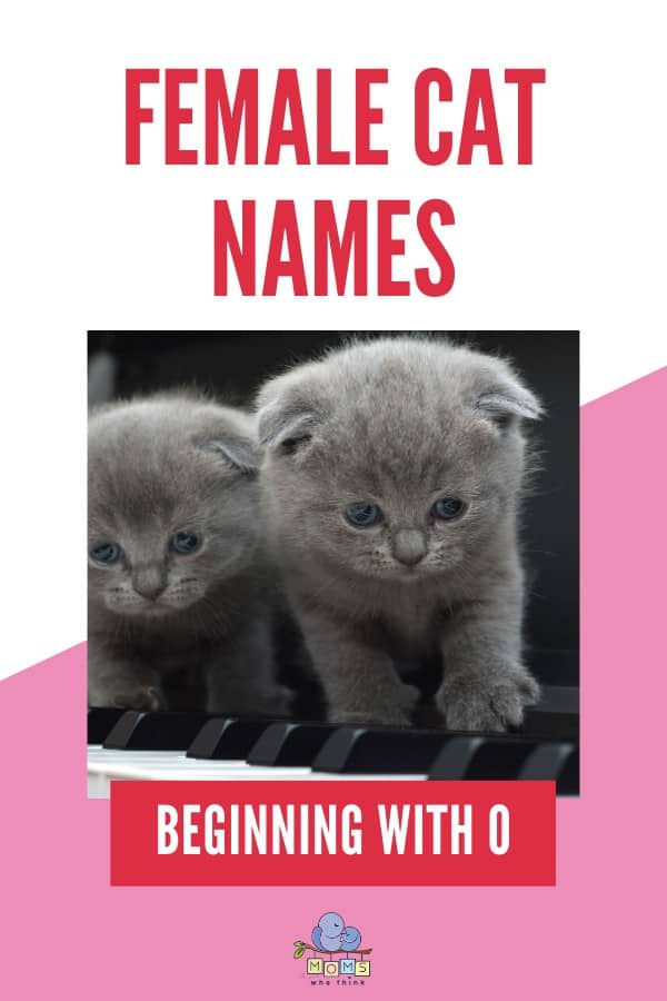 Female cat names beginning with P