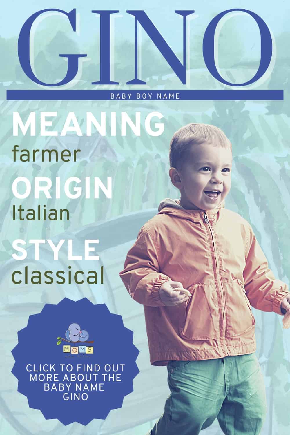 Baby name Gino