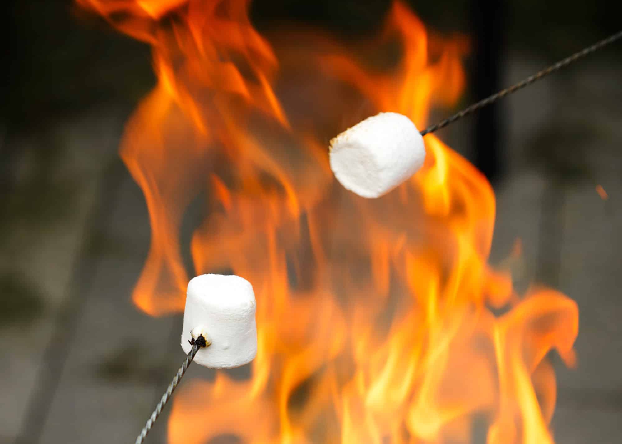 November Activities, Marshmallow, Abstract, Autumn, Backgrounds, Barbecue - Meal