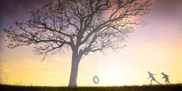 Wisdom, Child, In Silhouette, Swinging, 2015, Back Lit