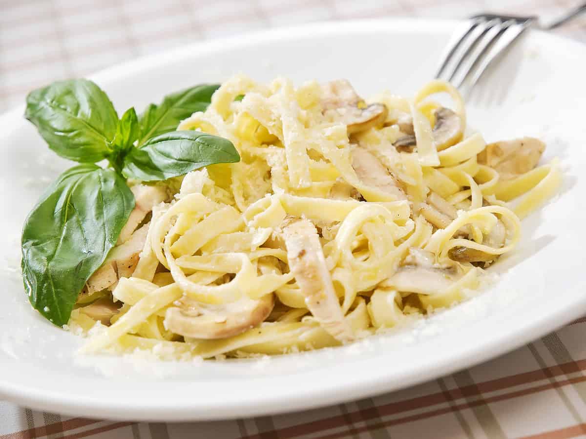 Chicken Alfredo, Fettuccine Alfredo, Chicken - Bird, Chicken Meat, Fettuccine, Pasta