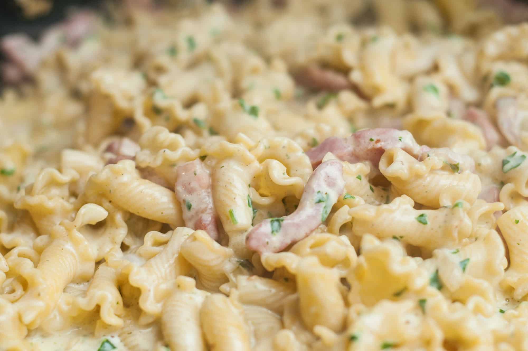Bacon, Carbonara Sauce, Cheese, Close-up, Cream - Dairy Product