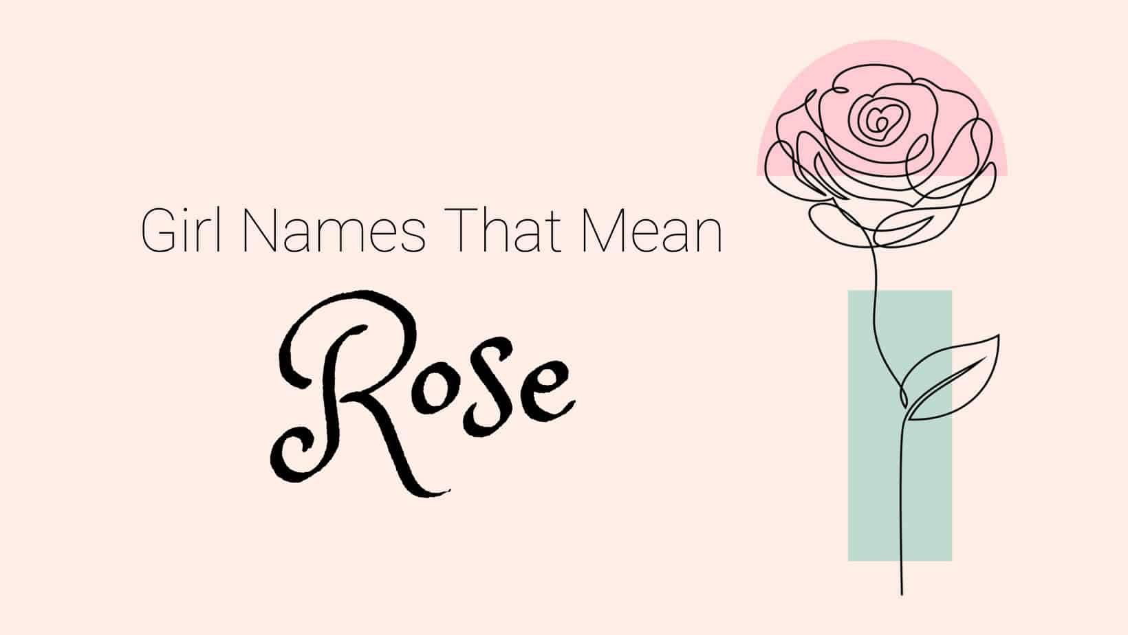 Girl Names That Mean Rose | MomsWhoThink.com