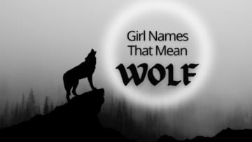 Girl Names That Mean Wolf
