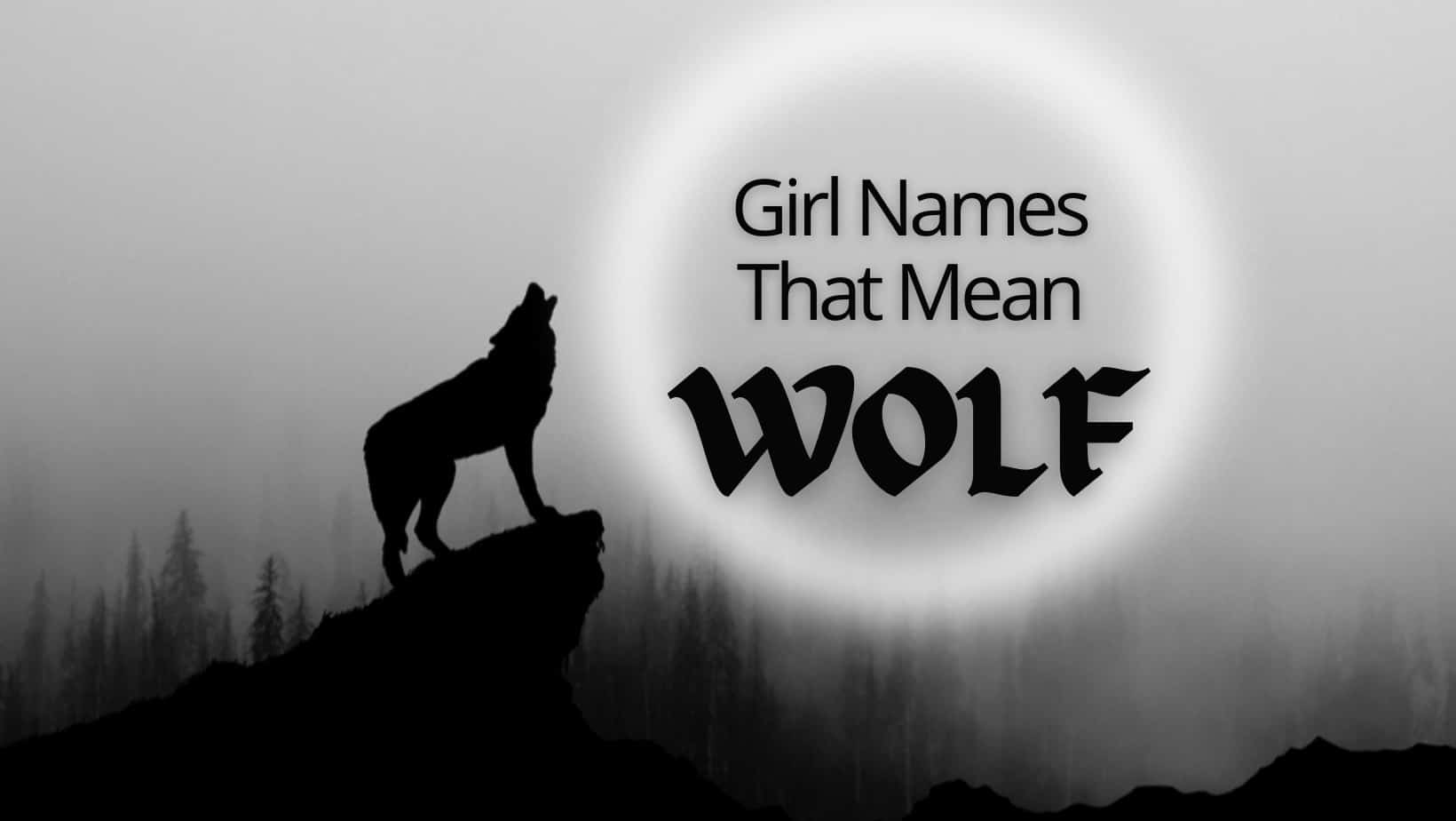 Girl Names That Mean Wolf