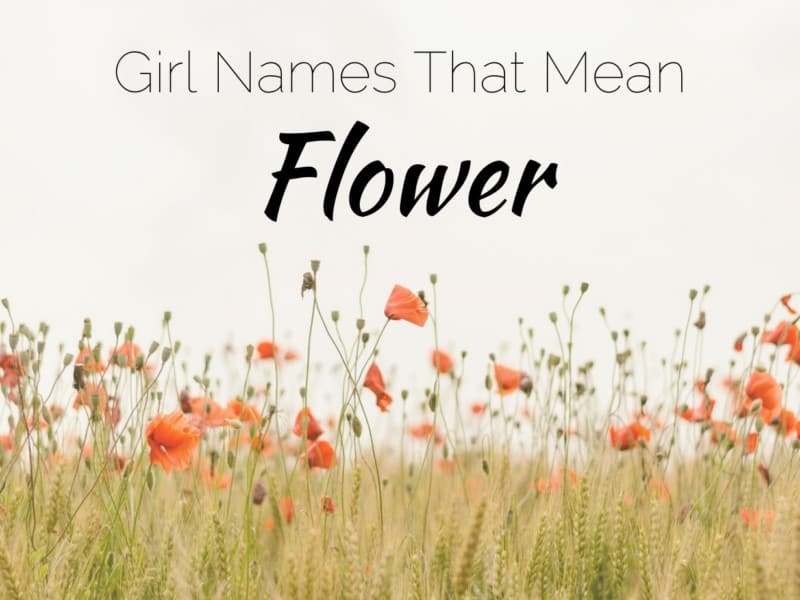 Girl Names That Mean Flower