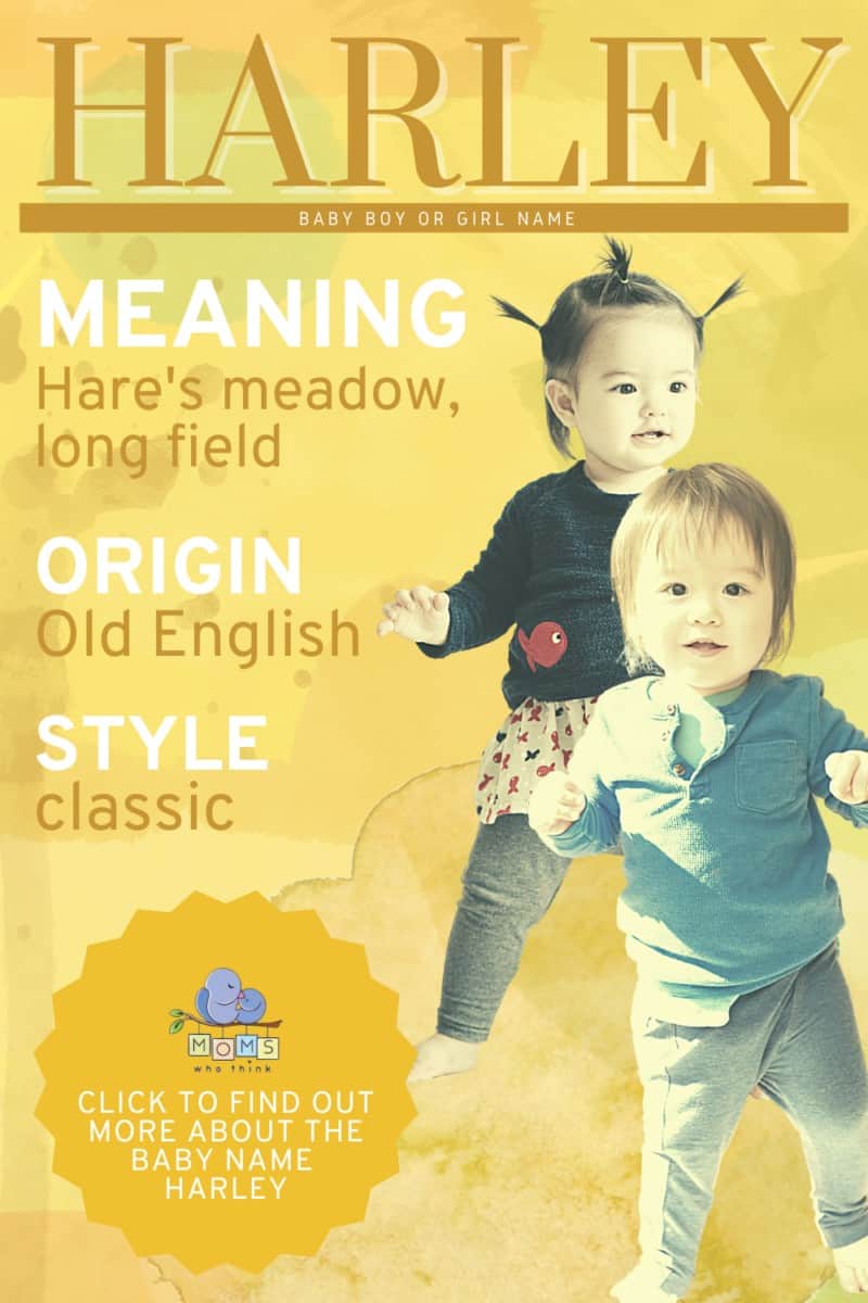 Harley baby name meaning and origin