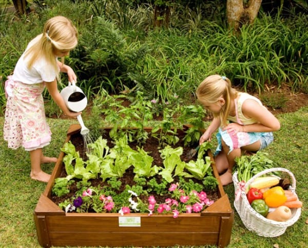 Kids Vegetable Gardening
