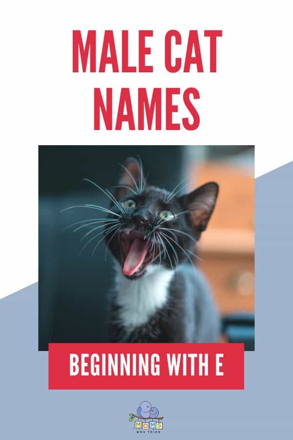 Male cat names beginning with E