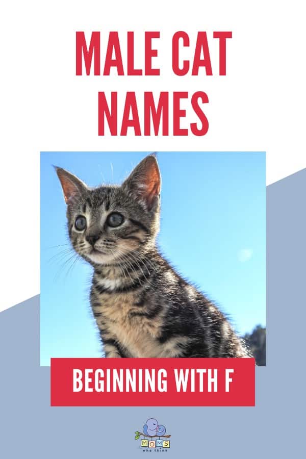 Male cat names beginning with F