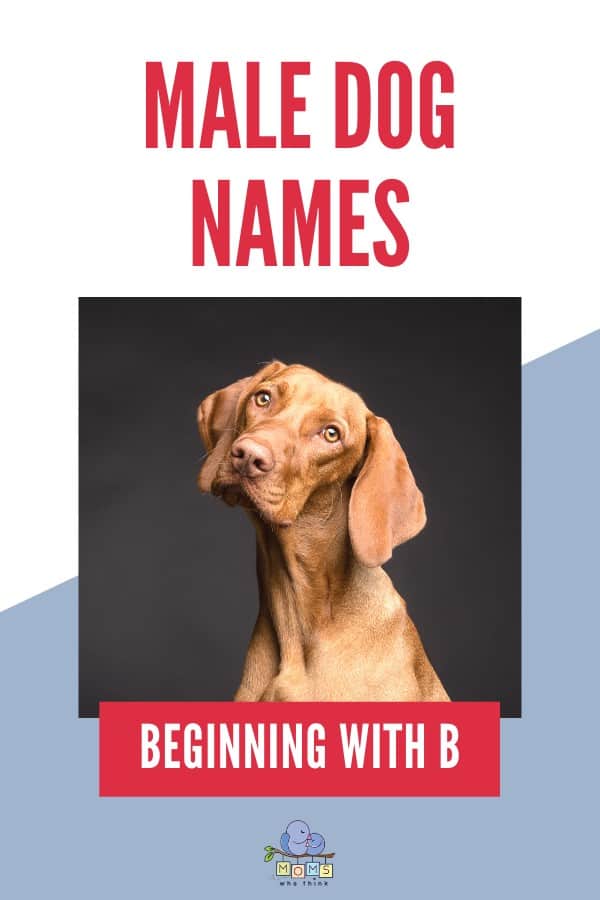 Male Dog Names A and B