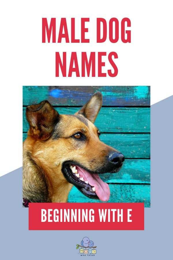 Male Dog Names beginning with E