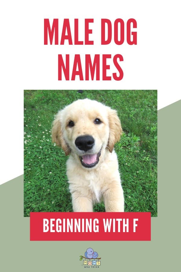 Male Dog Names beginning with F