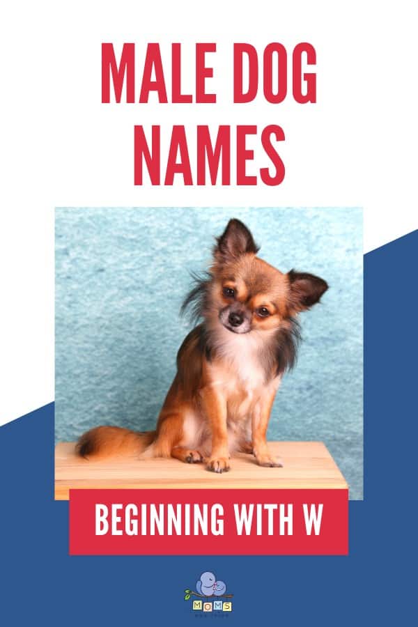 Male Dog Names beginning with W