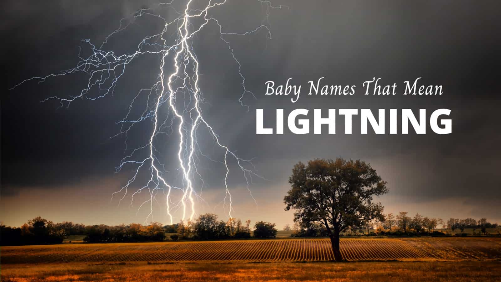 Boy Names That Mean Fox MomsWhoThink boy-names-that-mean-courage-momswhothink