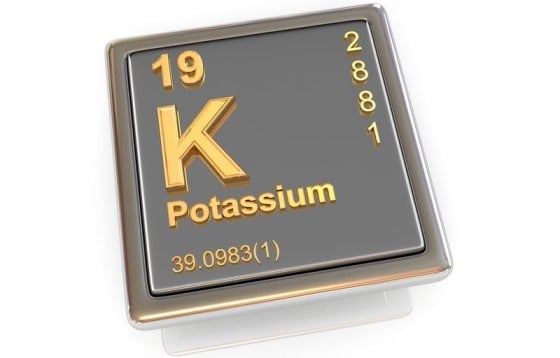 Potassium Foods