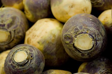 Rutabaga