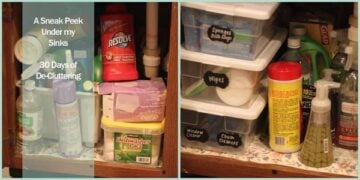 Declutter Under Sinks