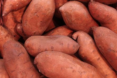 Sweet_Potatoes