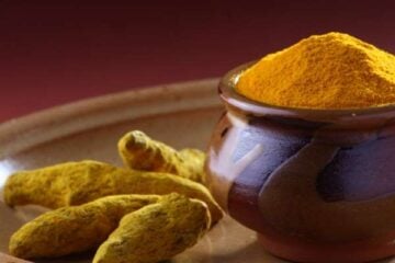 Turmeric Powder with fresh Turmeric Roots