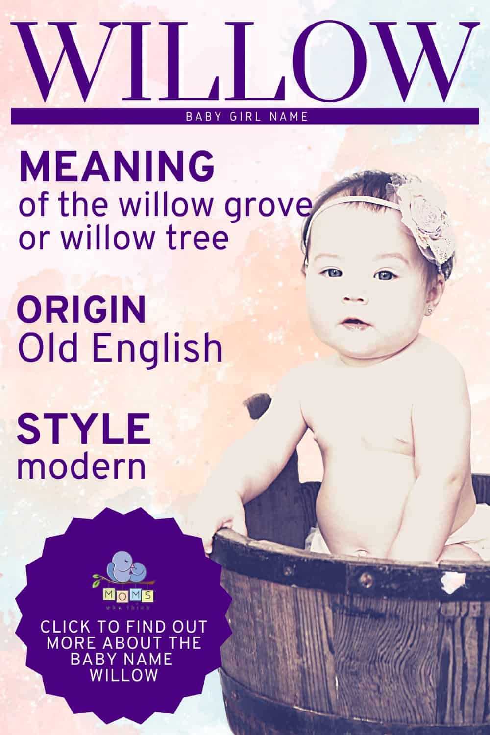 baby name Willow