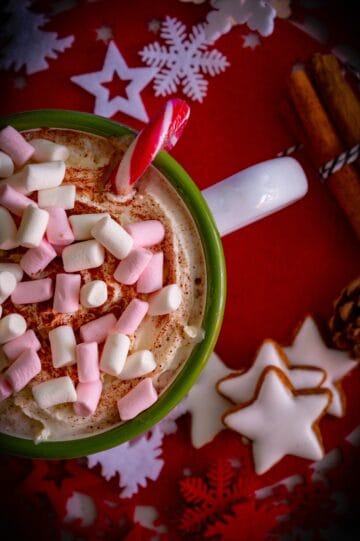 Chocolate Peppermint Fudge Mix Mug