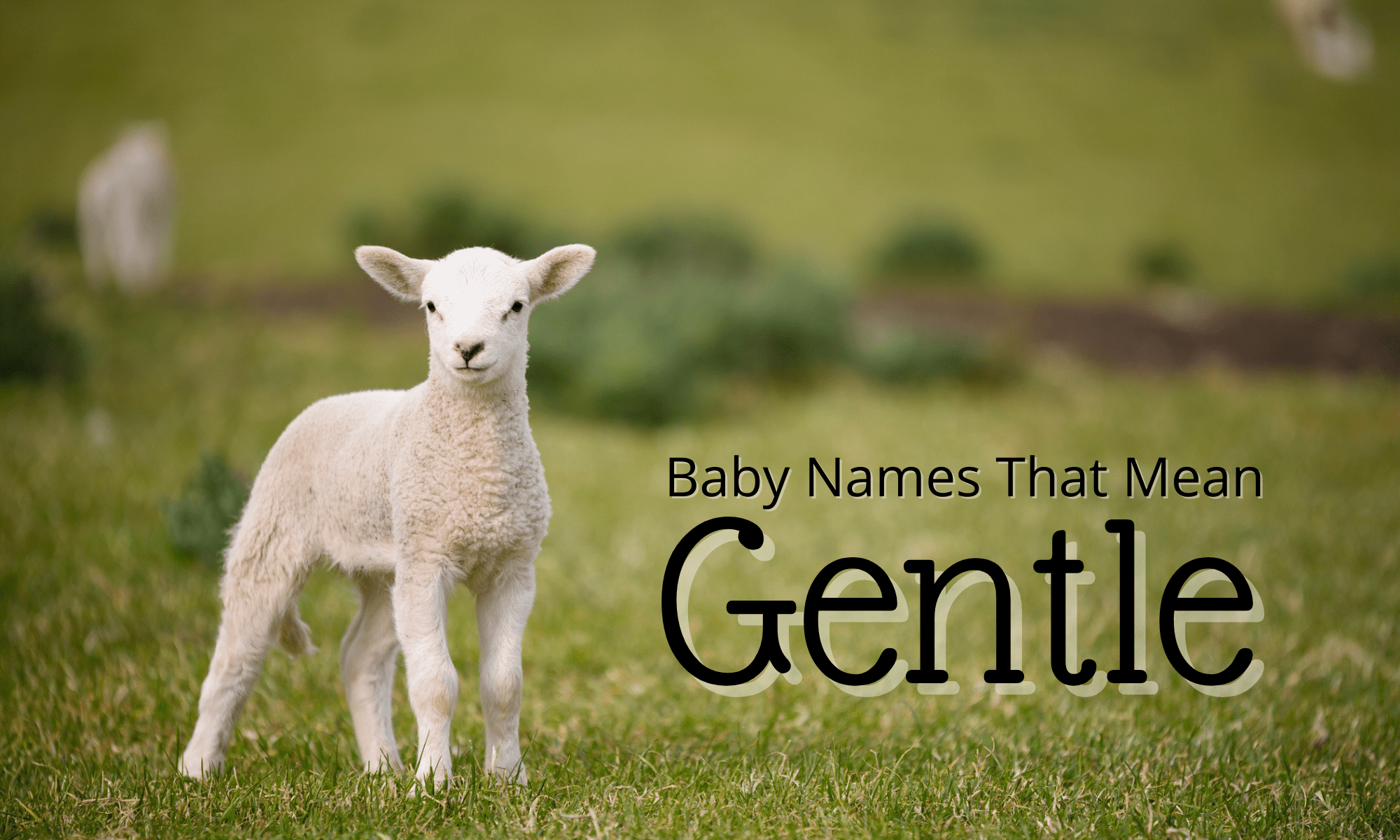 Baby Names That Mean Gentle