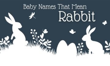baby names that mean rabbit