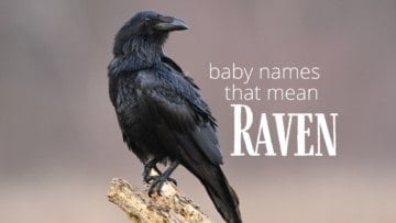 Baby Names That Mean Raven