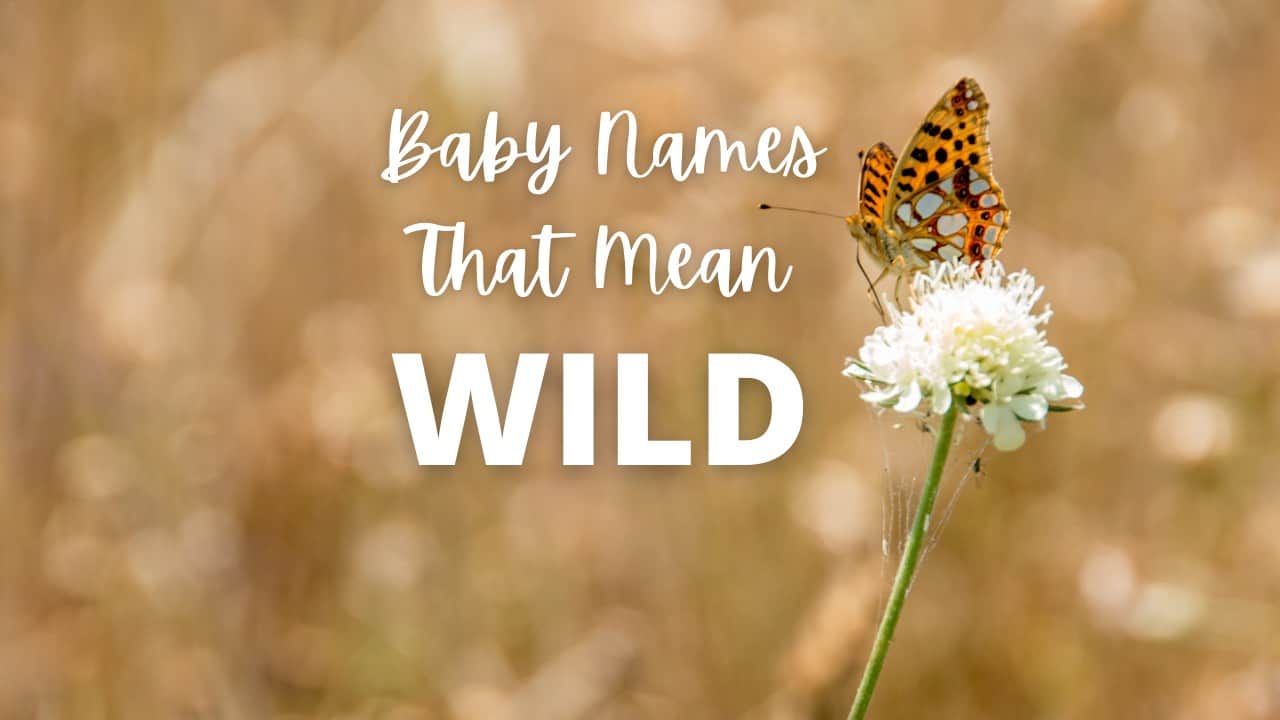 Baby Names That Mean Wild