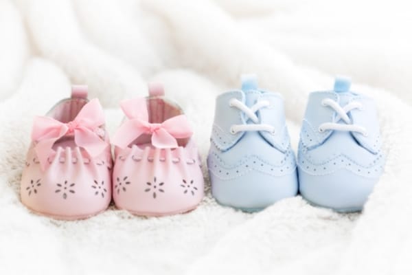 newborn baby first step shoes baby| Alibaba.com