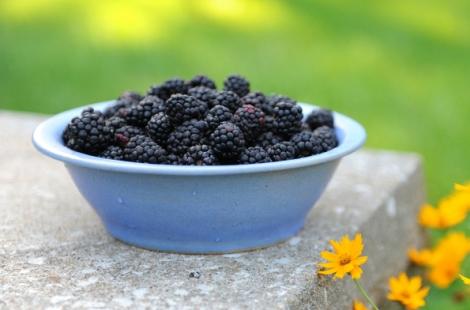 blackberries