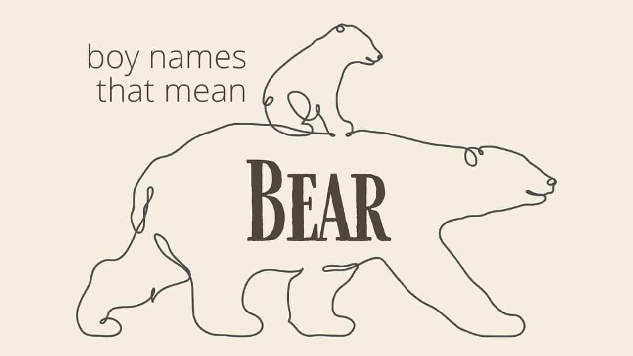 Boy Names That Mean Bear