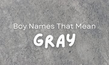 Boy Names That Mean Gray