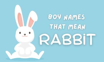 Boy Names That Mean Rabbit